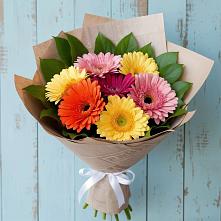 Букет цветов из:  Герберы в Ачите