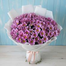 Букет цветов из:  Хризантемы #REPLACE_PRED# Ачите