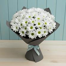 Букет цветов из:  Хризантемы в Ачите