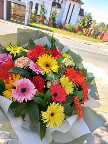 Букет цветов из: Герберы в Ачите
